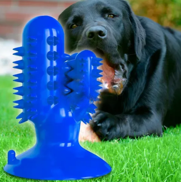 Жувальна іграшка для собак на присосці Bronzedog PetFun Dental "Кактус" Синій 05k03p013v2 фото