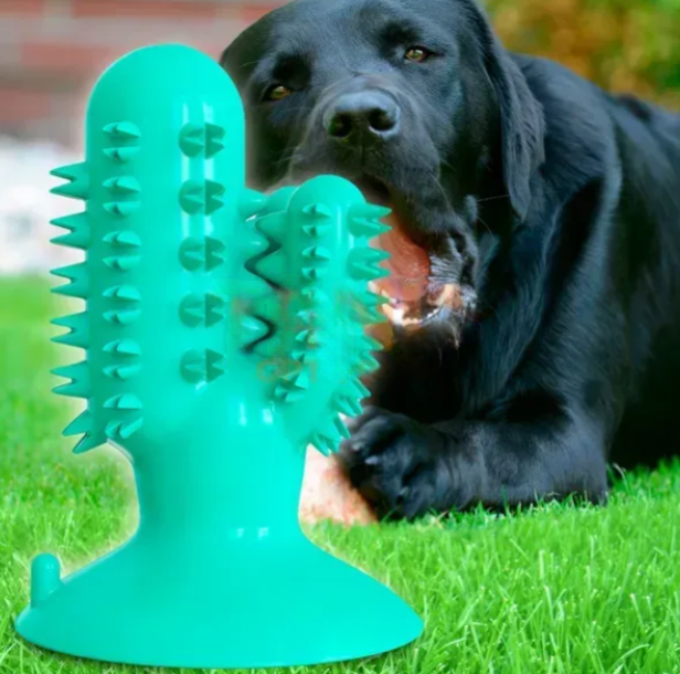 Жувальна іграшка для собак на присосці Bronzedog PetFun Dental "Кактус" Бірюзова 05k03p013 фото